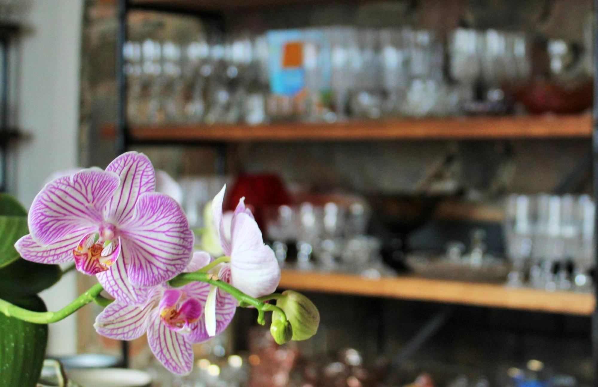แบรีเดล การู ลอดจ์ Bed & Breakfast แบร์รีเดล ภายนอก รูปภาพ