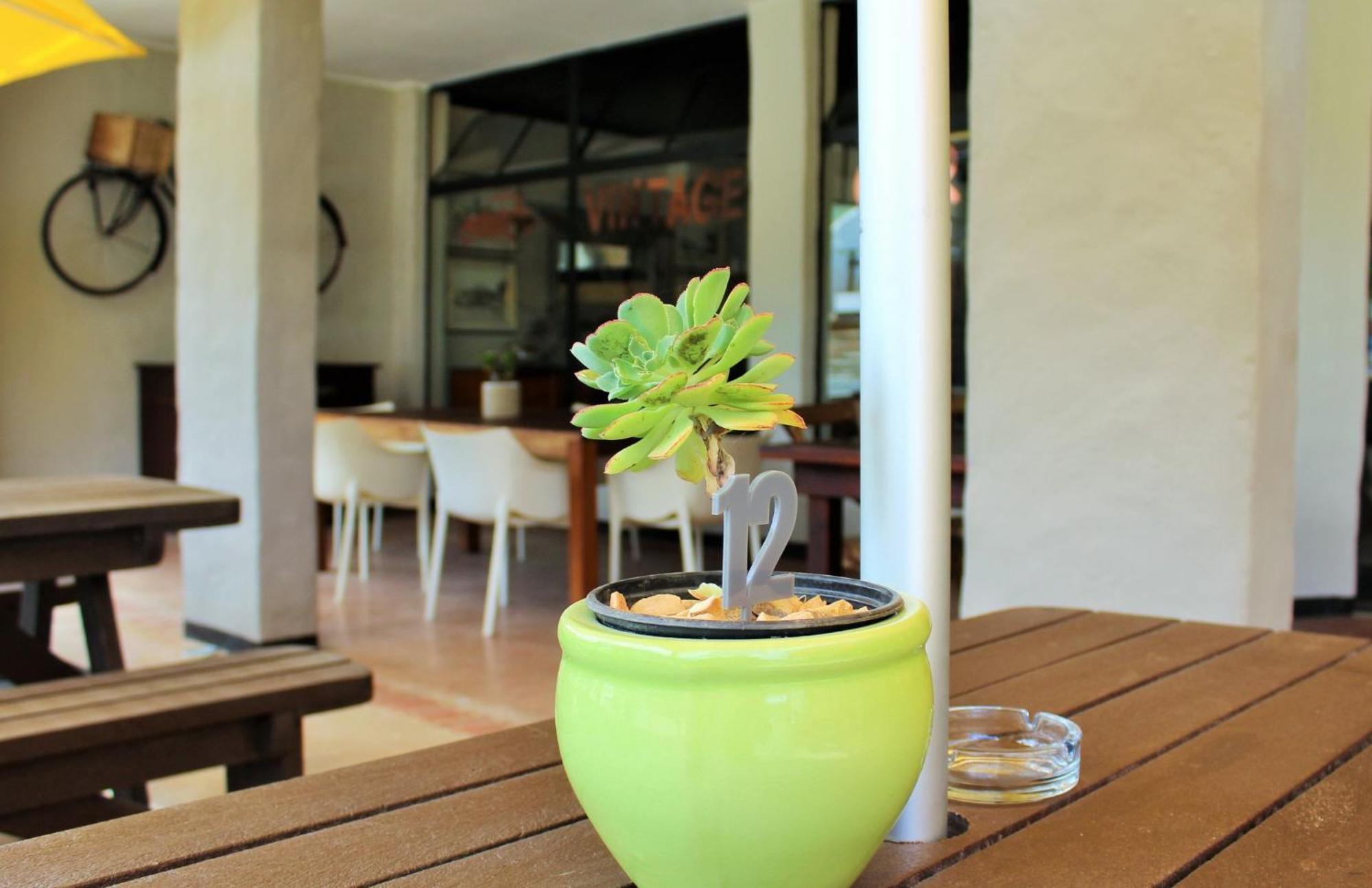 แบรีเดล การู ลอดจ์ Bed & Breakfast แบร์รีเดล ภายนอก รูปภาพ