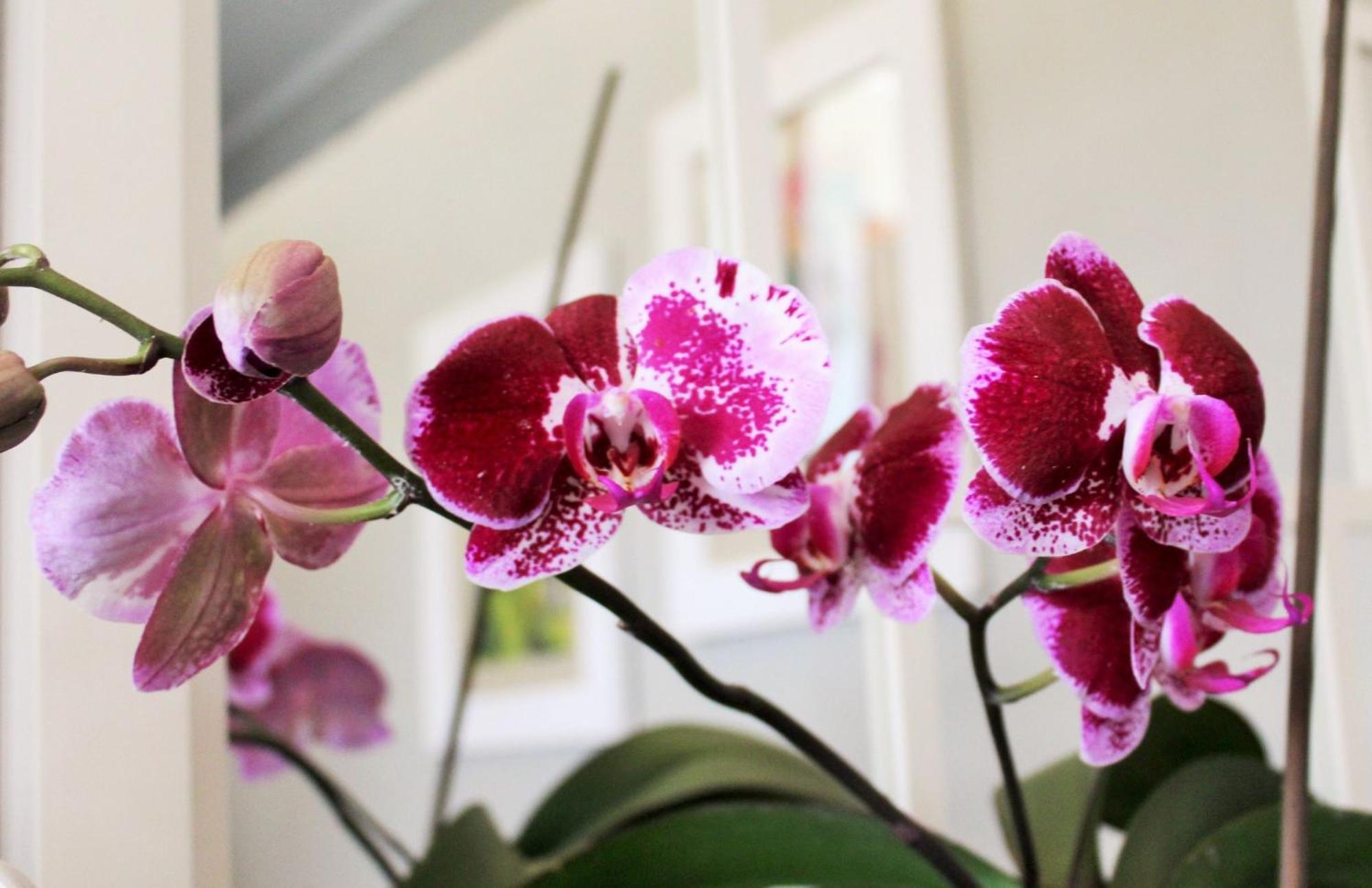 แบรีเดล การู ลอดจ์ Bed & Breakfast แบร์รีเดล ภายนอก รูปภาพ